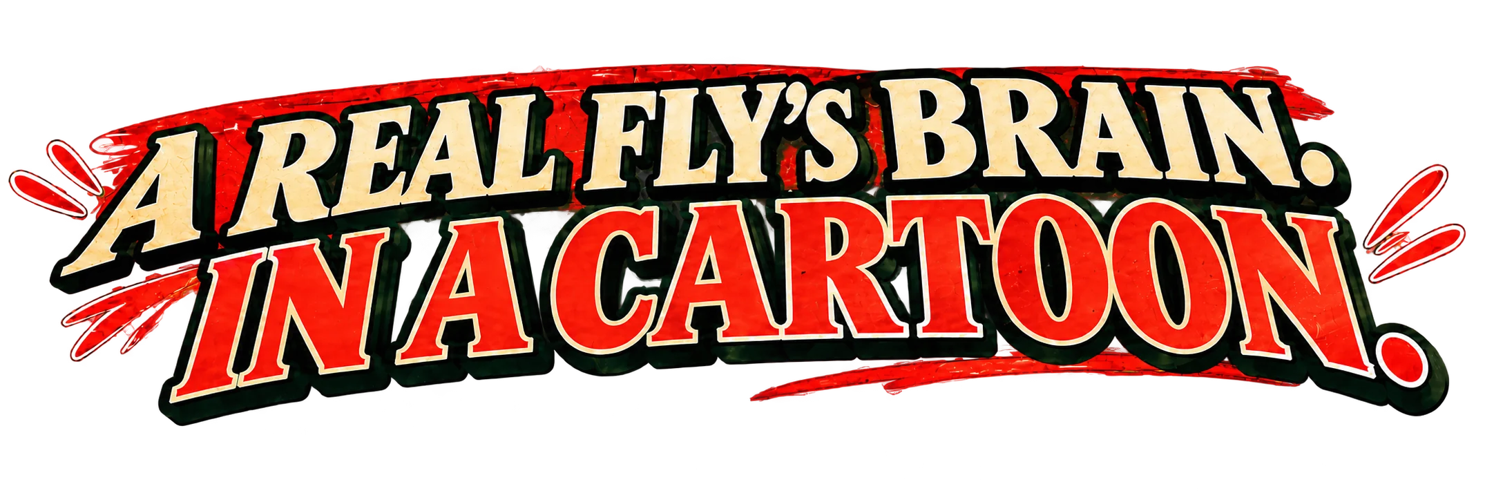A real fly’s brain. In a cartoon.
